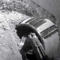 New Scientist. Science news and long reads from expert journalists, covering developments in science, technology, health and the environment on the website and the magazine.