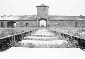 Holocaust survivors face increased cancer risk