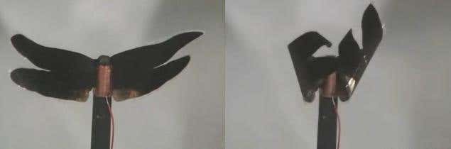 New Scientist. Science news and long reads from expert journalists, covering developments in science, technology, health and the environment on the website and the magazine.