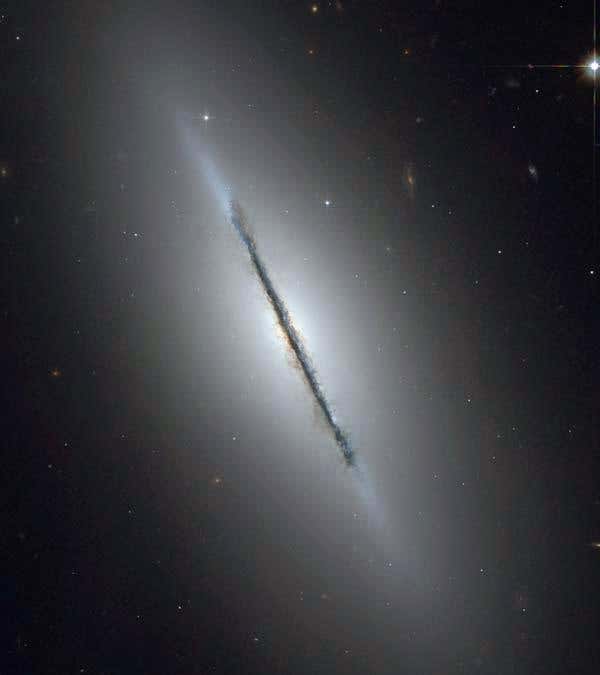 New Scientist. Science news and long reads from expert journalists, covering developments in science, technology, health and the environment on the website and the magazine.