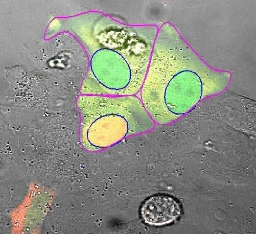 New Scientist. Science news and long reads from expert journalists, covering developments in science, technology, health and the environment on the website and the magazine.