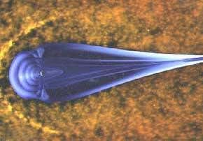 Giant hot bubbles may help protect Earth