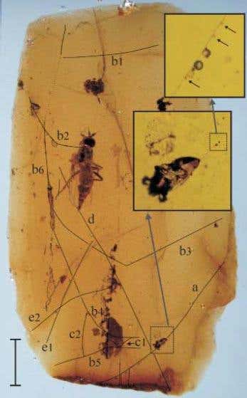 New Scientist. Science news and long reads from expert journalists, covering developments in science, technology, health and the environment on the website and the magazine.