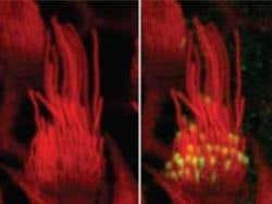 New Scientist. Science news and long reads from expert journalists, covering developments in science, technology, health and the environment on the website and the magazine.