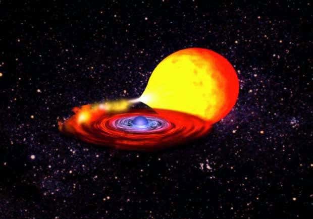 New Scientist. Science news and long reads from expert journalists, covering developments in science, technology, health and the environment on the website and the magazine.