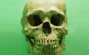 Putting a face to a skull