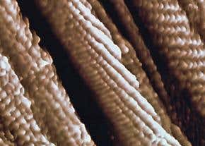 How 'toxic' nanotubes were faking it