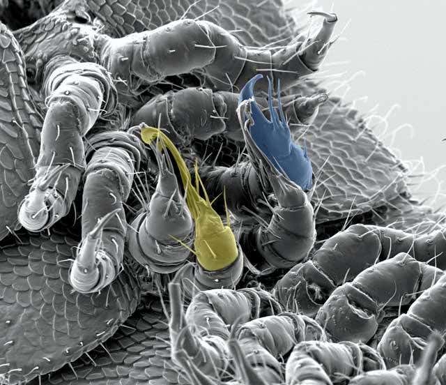 New Scientist. Science news and long reads from expert journalists, covering developments in science, technology, health and the environment on the website and the magazine.