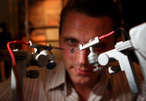 New Scientist. Science news and long reads from expert journalists, covering developments in science, technology, health and the environment on the website and the magazine.