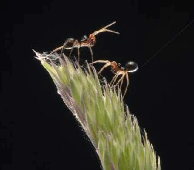 New Scientist. Science news and long reads from expert journalists, covering developments in science, technology, health and the environment on the website and the magazine.