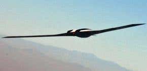 A plane you can print