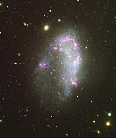 New Scientist. Science news and long reads from expert journalists, covering developments in science, technology, health and the environment on the website and the magazine.