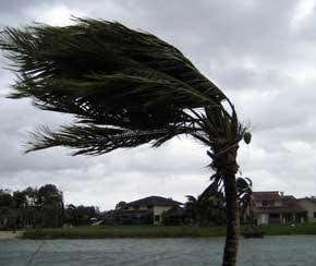 Scientists to stake out world's hurricane nursery