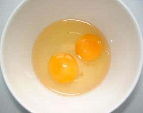 'Virgin birth' stem cells bypass ethical objections