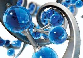 Biology beyond the genome