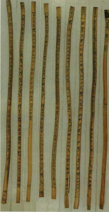 New Scientist. Science news and long reads from expert journalists, covering developments in science, technology, health and the environment on the website and the magazine.