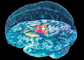 Computer's schizophrenia diagnosis inspired by the brain