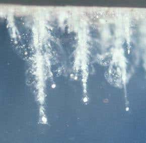 Interstellar space dust hunted from home