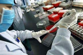 China confirms 2003 bird flu death