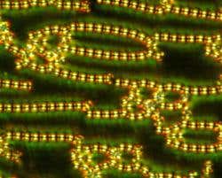 New Scientist. Science news and long reads from expert journalists, covering developments in science, technology, health and the environment on the website and the magazine.