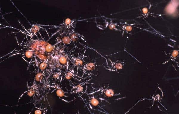 New Scientist. Science news and long reads from expert journalists, covering developments in science, technology, health and the environment on the website and the magazine.