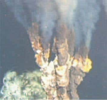 New Scientist. Science news and long reads from expert journalists, covering developments in science, technology, health and the environment on the website and the magazine.