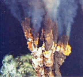 Extreme seabed-survival boosts hope of aliens