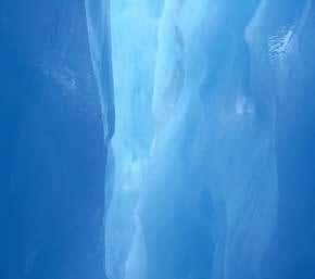 Life in the deep freeze