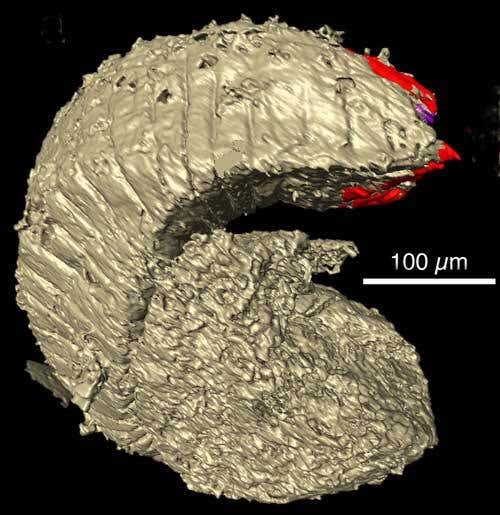 New Scientist. Science news and long reads from expert journalists, covering developments in science, technology, health and the environment on the website and the magazine.