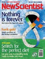 New Scientist issue 2570 cover