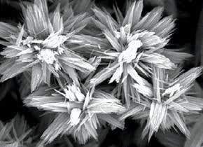 'Nano-flowers' show promise for alcohol detection