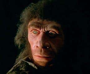 Neanderthals and humans lived side by side