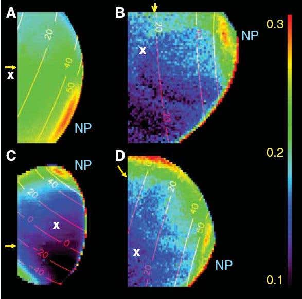 New Scientist. Science news and long reads from expert journalists, covering developments in science, technology, health and the environment on the website and the magazine.