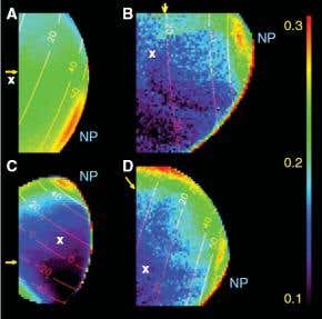 Huge ethane cloud discovered on Titan