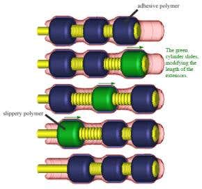 Slime-riding strategy developed for intestinal robot