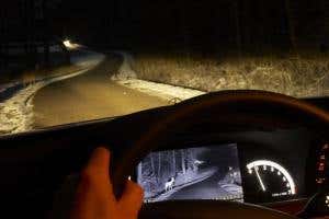 Introduction: Cars and Motoring