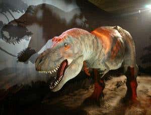 Top 10: Dinosaur Myths