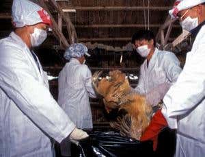 New Scientist. Science news and long reads from expert journalists, covering developments in science, technology, health and the environment on the website and the magazine.