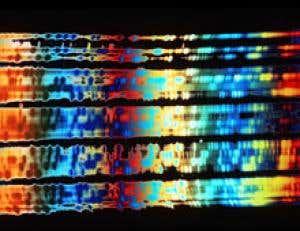 Introduction: Genetics