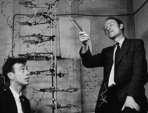 New Scientist. Science news and long reads from expert journalists, covering developments in science, technology, health and the environment on the website and the magazine.