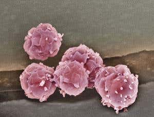 New Scientist. Science news and long reads from expert journalists, covering developments in science, technology, health and the environment on the website and the magazine.