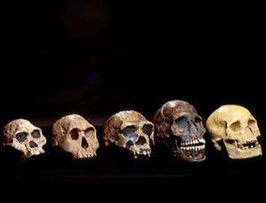 New Scientist. Science news and long reads from expert journalists, covering developments in science, technology, health and the environment on the website and the magazine.