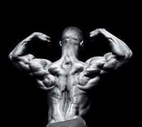 Muscles: Don't use them, don't lose them