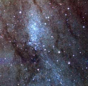 'Dark matter burners' – a new type of star?