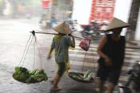 The anthropologist's dilemma