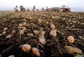 Last chance to stop plant catastrophe