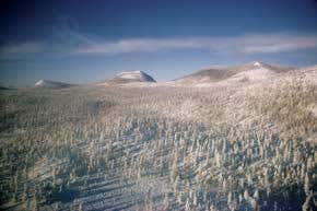 Climate change: 'One degree and we're done for'