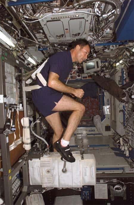 New Scientist. Science news and long reads from expert journalists, covering developments in science, technology, health and the environment on the website and the magazine.