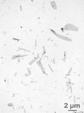 Nanosheets made by mimicking protein formation