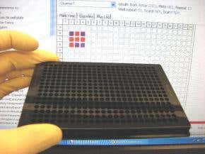 'DNA computer' is unbeatable at tic-tac-toe